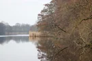Grabauer See im Februar