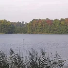 Behlendorfer See