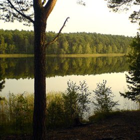 In fkk brandenburg baden Naturcamp Tonsee