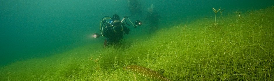 Tauchen im Kulkwitzer See | Kulkwitzer See - Informationen zum See