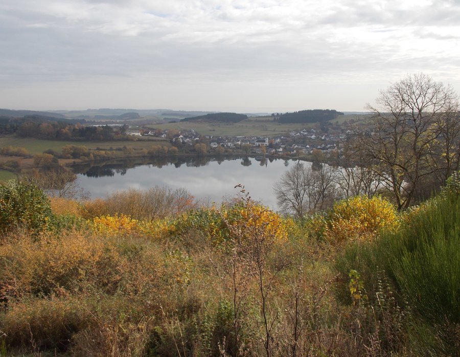 Fotos vom Schalkenmehrener Maar | Seen.de