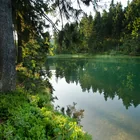 Oberer Grumbacher Teich