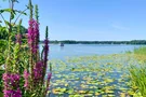 Scharmützelsee 