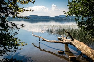 Fotos vom Laacher See