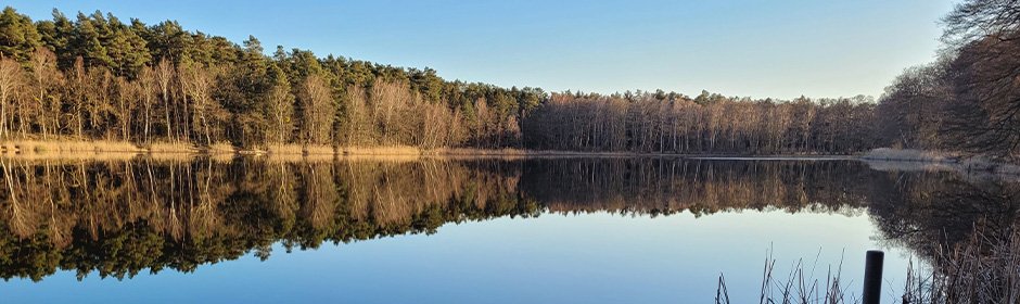 Haussee Headmotiv